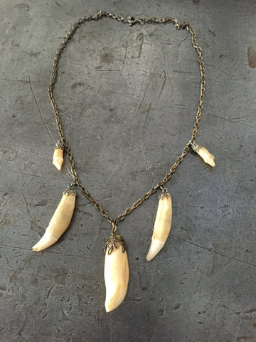 Vintage Brass Chain & Animal Tooth Necklace